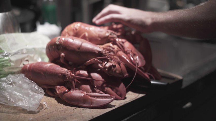 Close-up static shot of someone preparing some fresh lobsters for cooking.