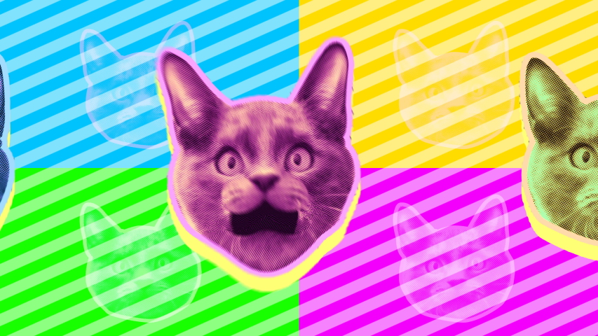 Seamless young animation of cartoon style cats with duotono colors. Stop motion minimal animal art with fluorescent colors halftone style background. Royalty-Free Stock Footage #1030440155