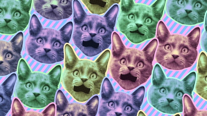 Seamless young animation of cartoon style cats with duotono colors. Stop motion minimal animal art with pastel colors halftone style background. Royalty-Free Stock Footage #1030440185