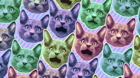 Seamless young animation of cartoon style cats with duotono colors. Stop motion minimal animal art with pastel colors halftone style background.