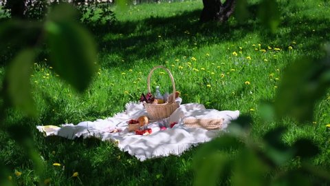 picnic on green grass. Basket with bread and a bottle and bananas in a basket and tomatoes with apples. still life on green grass. a blanket and food for a picnic in summer Park. UHD video