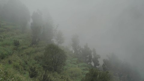 Himalayan Farm and mist in monsoons