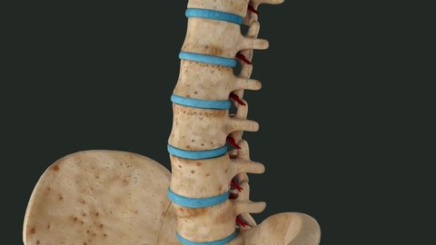 13 Lumbar Puncture Stock Video Footage - 4K and HD Video Clips | Shutterstock 13 Lumbar Puncture Stock Video Footage - 4K and HD Video Clips | Shutterstock