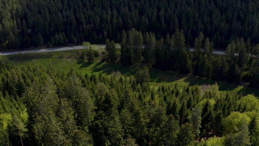 Aerial panning along a road in the Black forest with car driving