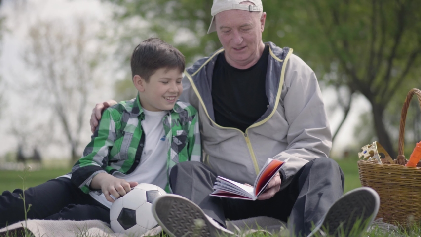 Old man sitting with his grandson on the blanket in the park. The man taking the crown from the basket and putting it to the boy's head. Family leisure outdoors. Generations concept Royalty-Free Stock Footage #1030464599