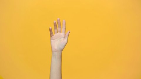 Woman hand waving and greeting as notices someone friend isolated over yellow background in studio. Copy space for advertisement. With place for text or image. Advertising area workspace mock up.
