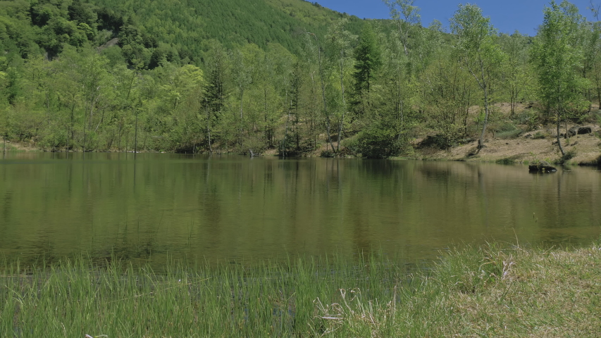 Fresh green pond and blue sky in Nagano, Japan.