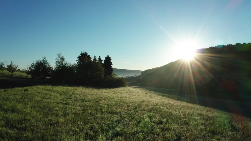 close flight over beautiful green field during morning hour with blue sky and sun, flying close to pine trees realxing morning atmosphere