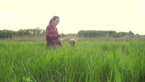 girl playing with a dog on the nature at sunset. dog lifestyle yorkshire terrier playing catches with a ball in nature slow motion video. pet home concept