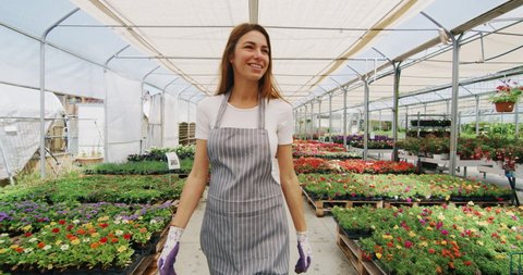 Slow motion of an young woman gardener in apron is walking satisfied with her work in a plant shop greenhouse in a sunny day.