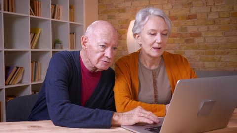 Two senior gray-haired caucasian colleagues working together with laptop being joyful in office.