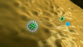 virus and Antibody, antibodies kills the viruses, macrophage and virus, Medical video background