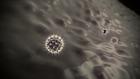 macrophage and virus, macrophage kills the viruses, 3d rendered  macrophage and virus, inside human body, Medical video background, viruses in the human bodyの動画素材