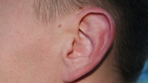 Close Up Of A Newborn Baby Stok Videosu 100 Telifsiz 1023185233 Shutterstock