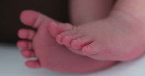
Newborn baby feet close-up. Toes of infant macro