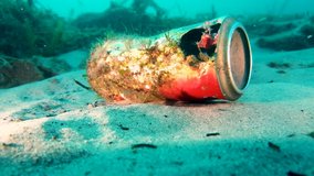A discarded drink can being picked up from the bottom of the ocean