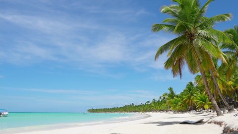 The amazing wild beach of the island of Saona in the Atlantic Ocean. Azure Caribbean Sea and palm trees. Palm shadow on the white sand. Fishing boat on the waves of the Caribbean. Palms island beach.