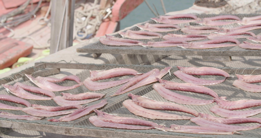 Drying fish in the sun in Pattaya harbour