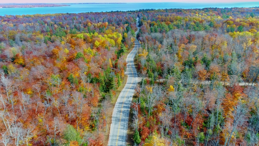 Aerial View Of Winding Country Road Through Breathtaking Fall Colors, door County, Wisconsin.