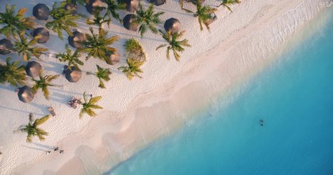 Aerial view of sea waves, umbrellas, green palms on the sandy beach at sunset. Summer in Zanzibar, Africa. Tropical landscape with palm trees, people, parasols, sand, blue water. Top view from air