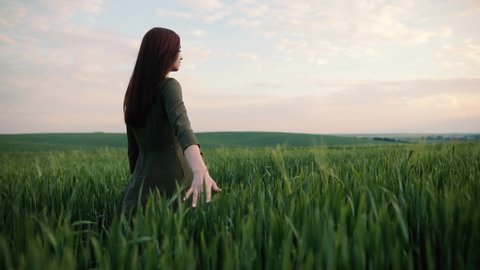 A young girl happily walking in slow motion through a field touching with hand wheat ears. Beautiful carefree woman enjoying nature and sunlight in wheat field at incredible colorful sunset