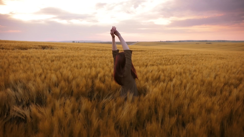 A young girl happily walking in slow motion through a field touching with hand wheat ears. Beautiful carefree woman enjoying nature and sunlight in wheat field at incredible colorful sunset Royalty-Free Stock Footage #1030587539