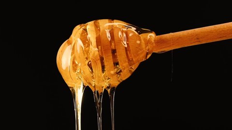 Close up fresh thick fluid acacia honey pouring and flowing from wooden dipper spoon over black background with copy space low angle side view slow motion