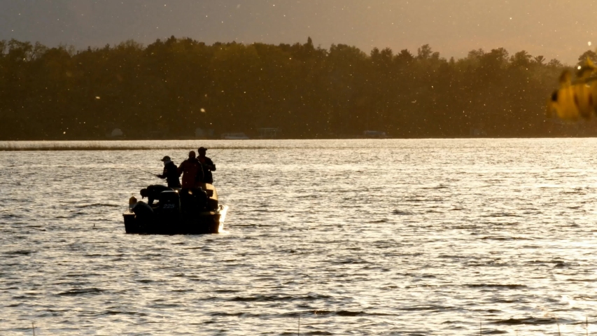 Silhouette of fishermen catching a couple walleye pike fish while in a fishing boat on a lake at sunset in Bemidji, Minnesota.