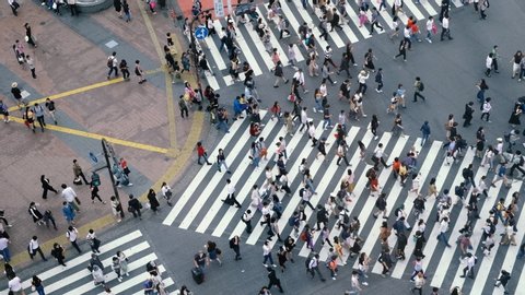 Aerial view of pedestrians walk at Shibuya Crossing. The scramble crosswalk is one of the largest in the world. Shibuya, Tokyo, Japan.
