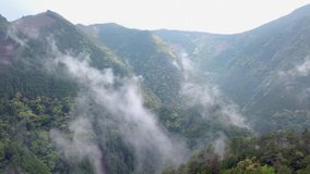 Aerial of Misty Japanese Mountains