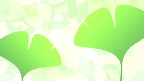 Ginkgo leaves loop bright background