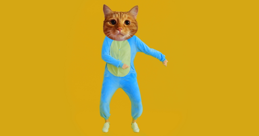 Closeup shoot of funny girl with cat head and costume dancing with the background isolated on yellow