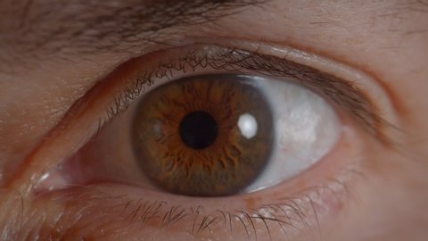 Close-up shoot of caucasian human brown eye shrinking the pupil watching anxiously into camera.