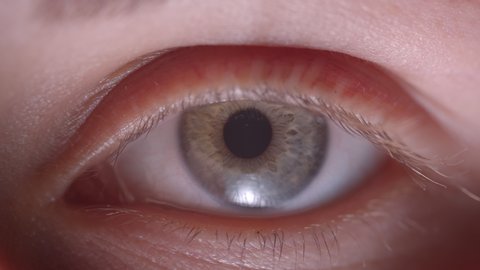 Close-up shoot of caucasian person with greenish eye blinks fastly watching into camera being calm and concentrated.