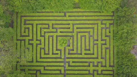 Aerial view of maze, green labyrinth in park, drone point of view from above.