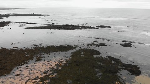 Aerial footage over Ytri Tunga beach located in Iceland. Shallow water with lots of rocks and seagrass. Home of many seals.