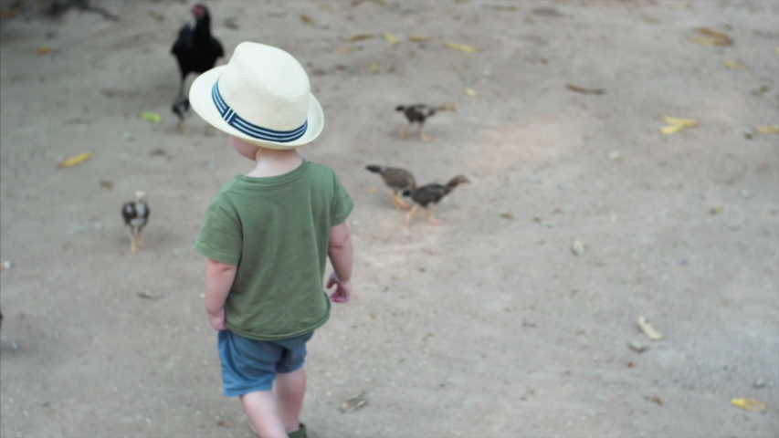 Two-years old boy in straw hat is following hens and chickens on farm Royalty-Free Stock Footage #1030715360
