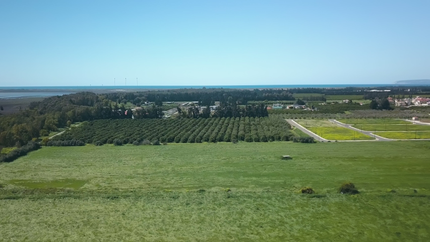 agricultural area in Cyprus, aerial view on fields with juicy grass and trees