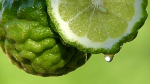 Closeup fresh bergamot sliced with water droplet in green blurred background,green freshness concept