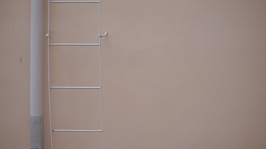 Clean, pink wall with stairs on which the girl climbs up and down