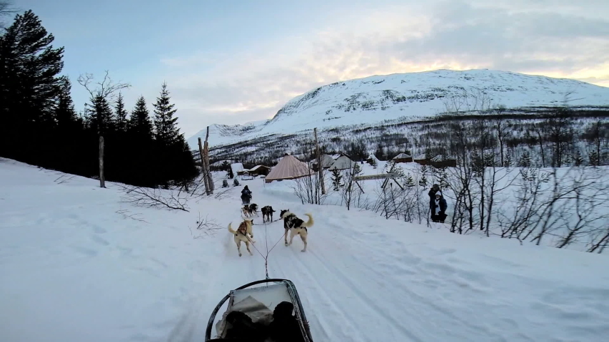 POV dog sled handler pulling tourist husky dogs extreme snow covered terrain Norway Scandinavia