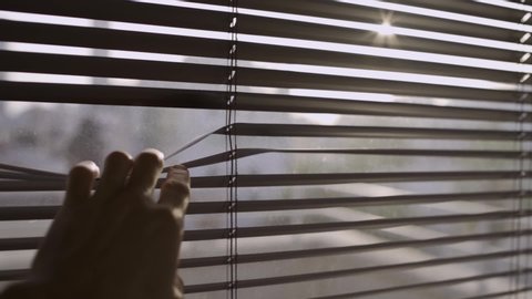 Pulling down on a window blind or shutter in order to look outside - person peeking or watching through office shutters to see outside spy on people - city in the background view with sun entering