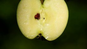Closeup fresh apple cut half with water droplet in green blurred background,green freshness concept