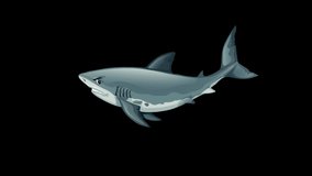 Angry Shark Isolated Png Loop Video Animation