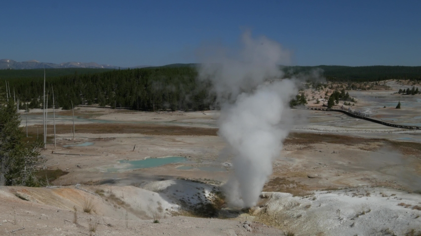 Wide steady shot of steam billowing from the Black Growler Steam Vent at Norris Geyser Basic, Yellowstone National Park in Wyoming.