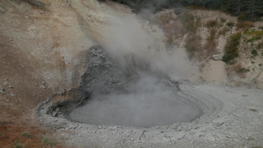 Medium wide steady shot of the Mud volcano at Yellowstone National Park in Wyoming.