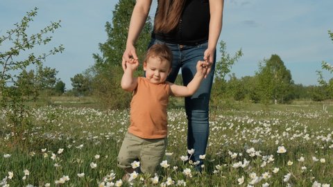 A young mother walks with her child in a flower field. A woman holding her son's hands in the Park. A little boy is learning to walk.