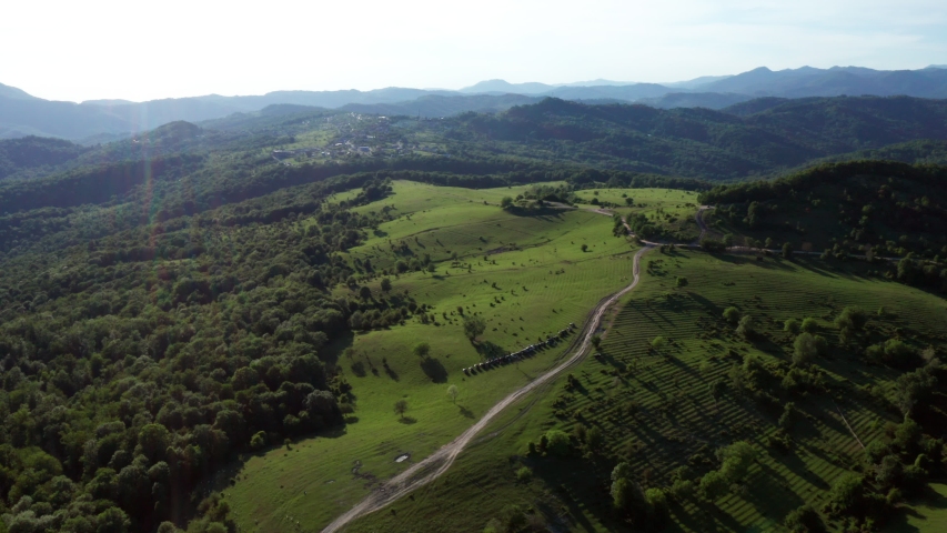 Aerial video shooting. Cars go on a mountain road. Green forest. Highest mountain. Blue sky.