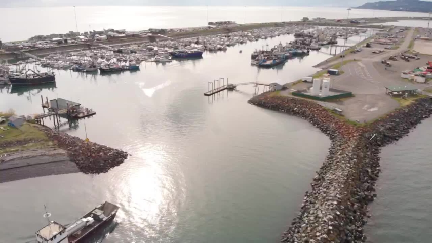 Views of Kachemak Bay and the busy Homer Alaska harbor from the Homer Spit!