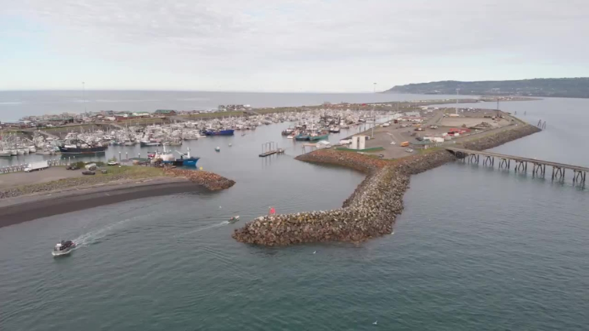 Views of Kachemak Bay and the busy Homer Alaska harbor from the Homer Spit!